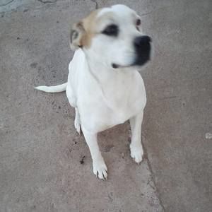 Meet your Posher, Edith